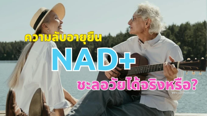 ความลับอายุยืน 100 ปีจากสารสกัด NAD+ งานวิจัยล่าสุดเผยช่วยชะลอวัยได้จริงหรือ?